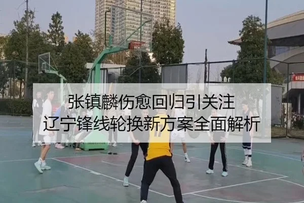 张镇麟伤愈回归引关注 辽宁锋线轮换新方案全面解析 - JiuyouSports